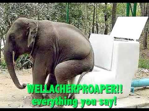 Taking Back Sunday- MakeDamnSure (misheard lyrics)