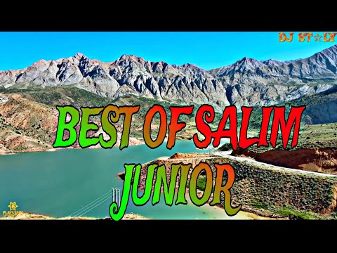 BEST OF SALIM JUNIOR MUGITHI MIX 🔥🔥🔥 FT DJ STALY