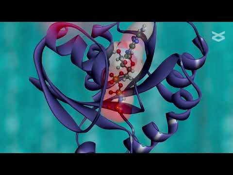 Signaling pathways in intestinal homeostasis and colorectal cancer KRAS at centre stage