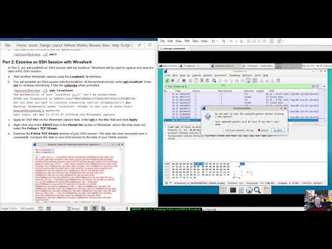 CBROPS - 21.2.12 Lab - Examining Telnet and SSH in Wireshark