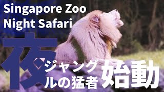 夜のジャングルをHDRで歩いてみた。シンガポール動物園、ナイトサファリ