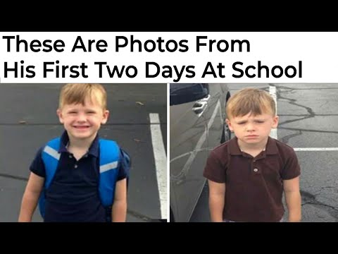 Memes About School