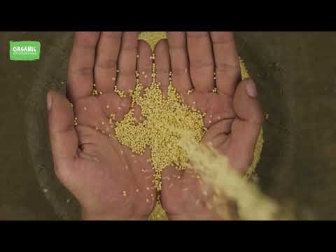 Somesh seluriyal Uttrakhand commodity board