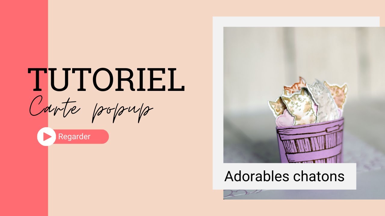 Carte popup : Des chatons dans un panier facade placeholder