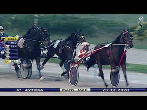 Aversa trotto 23 Dicembre 2020 - 5° Corsa