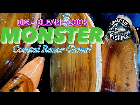 Monster Razor Clams! | Dig, Clean, & Cook | November 15, 2024