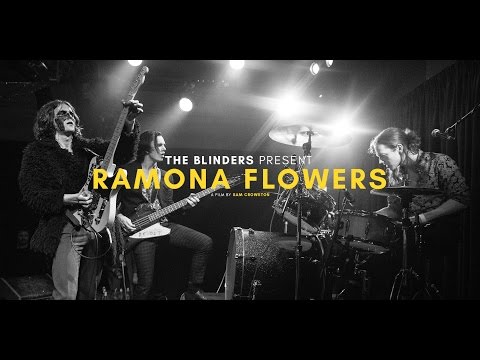 The Blinders - Ramona Flowers