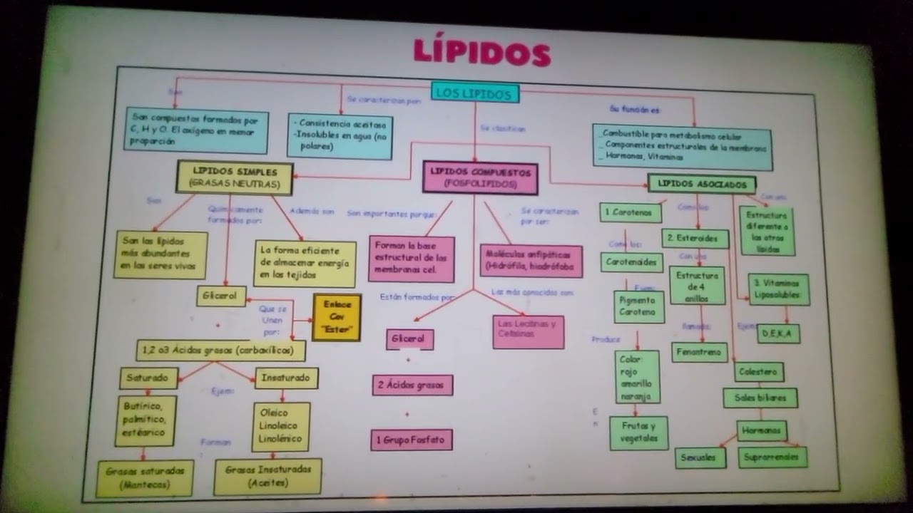 macronutrientes y micronutrientes parte 2