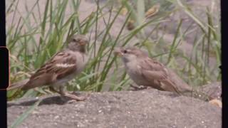 i was here - sandy alex g