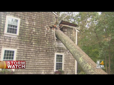 Scituate Residents Deal With Lack Of Power, Long Lines For Gas Following Nor'easter