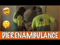 Een vreemd beest onder je bed?! | DierenpraatTV