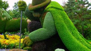 Lonesome Traveler In The Mystic Garden