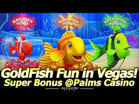 100x BIG WIN Bonus! Gold Fish Feeding Time Treasure Slot, Super Bonus @Palms Casino in Las Vegas! - YouTube