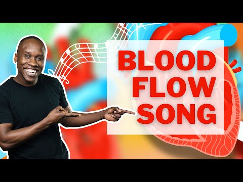 Blood Flow Song | How Blood Flows Through the Heart