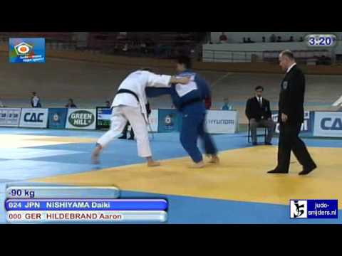 Judo 2010 World Cup Men Vienna: Daiki Nishiyama (JPN) - Aaron Hildebrand (GER) [-90kg]
