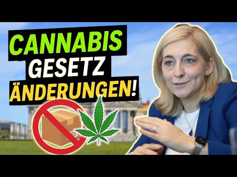 New cannabis rules in 2025 after legalization!? The CDU/CSU alliance is calling for a cannabis ba...