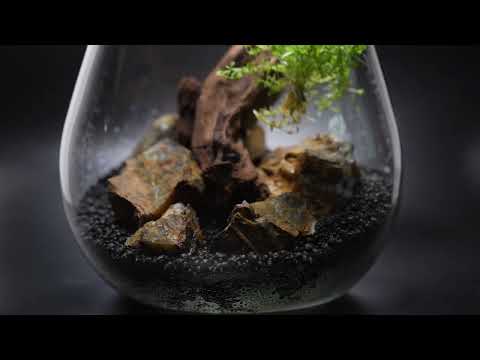 Watch Video on YouTube