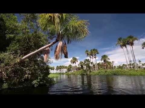 Buritizal Grande do Alto Guaporé em Vila Bela da Santíssima Trindade no Mato Grosso 