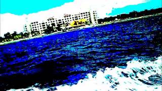 THE CARDIGANS - LIVE AND LEARN