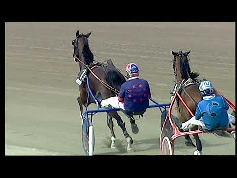 Napoli Trotto 14/05/2021 - 6ª corsa