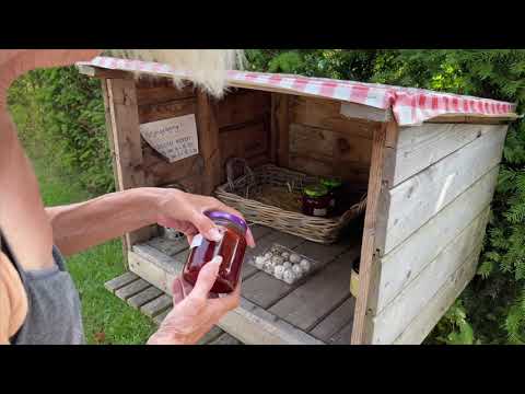 Ons laatste rondje in Drenthe #2021-059