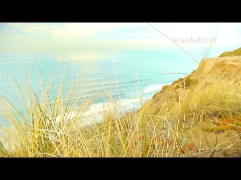 Beautiful Light Music - easy music for studying, focus, write, code, spa, relaxation [Ocean Breeze]