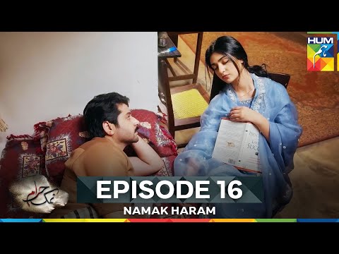 Namak Haram Episode 16