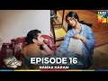 Namak Haram Episode 16