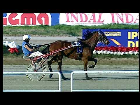 Trotto 12/01/2021 - 5ª corsa