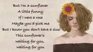 Sunflower Music Video