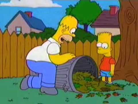 Homer the Chiropractor