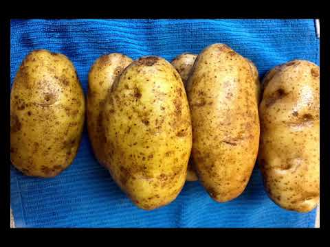 Perfect Baked Potatoes Recipe