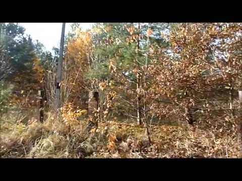 Oferta LCOI URBAN-Koczwary