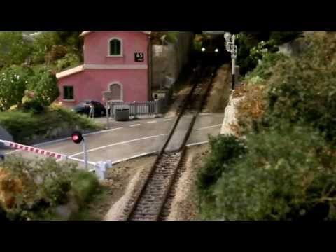 Treni al passaggio a livello