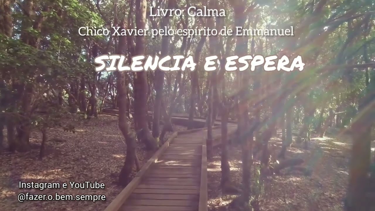 SILENCIA E ESPERA - Livro: Calma, de Emmanuel, psicografia de Chico Xavier