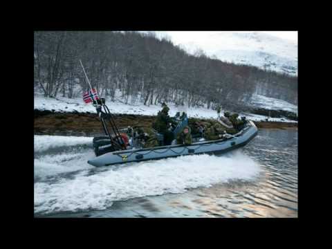 2. bataljon / Norwegian Army 2nd battalion