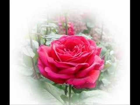 Seni seviyorum(42672)