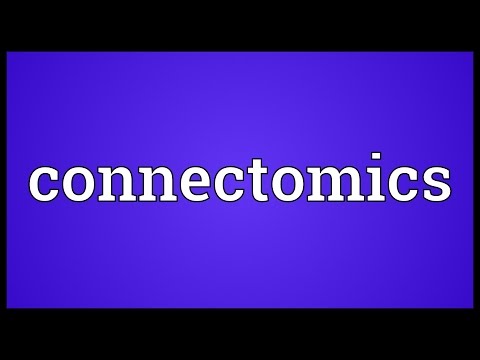 Connectomics Meaning