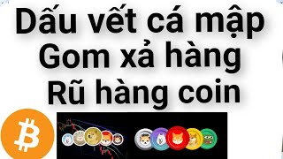 Dấu vết cá mập gom xả rũ hàng Bitcoin crypto trên biểu đồ nến, cả 1 quy trình 3 6 tháng