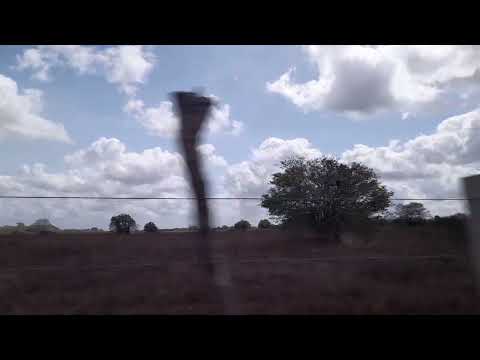 Interior da paraiba #sítio areial paraiba novembro 2025