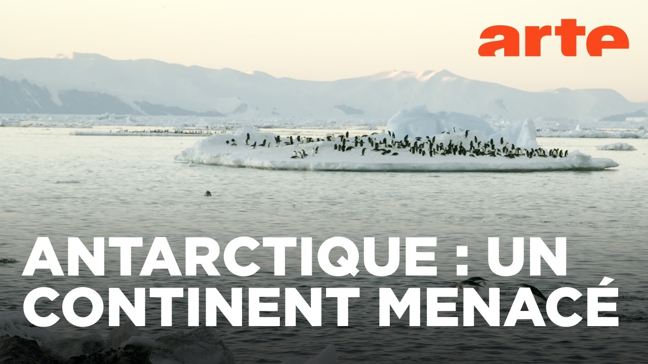 Les métamorphoses du continent blanc | Documentaire | ARTE