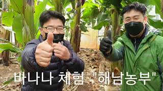 무화과 VS 바나나(010-5611-1374)해남농부