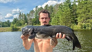 Download lagu Mencari ikan lele kanal berukuran besar di Sungai Madawaska!! (Cara memilah ikan-ikan kecil!) mp3
