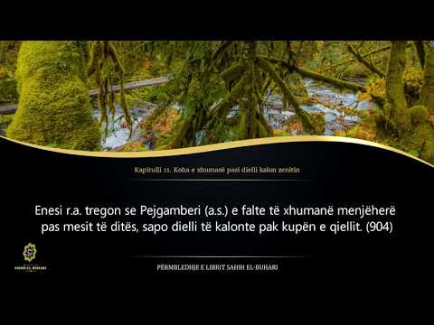 Sahih Buhari - Hadith 495 - Koha e xhumasë pasi dielli kalon zenitin