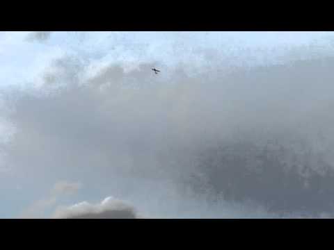 Axion Alpha 139 Glider