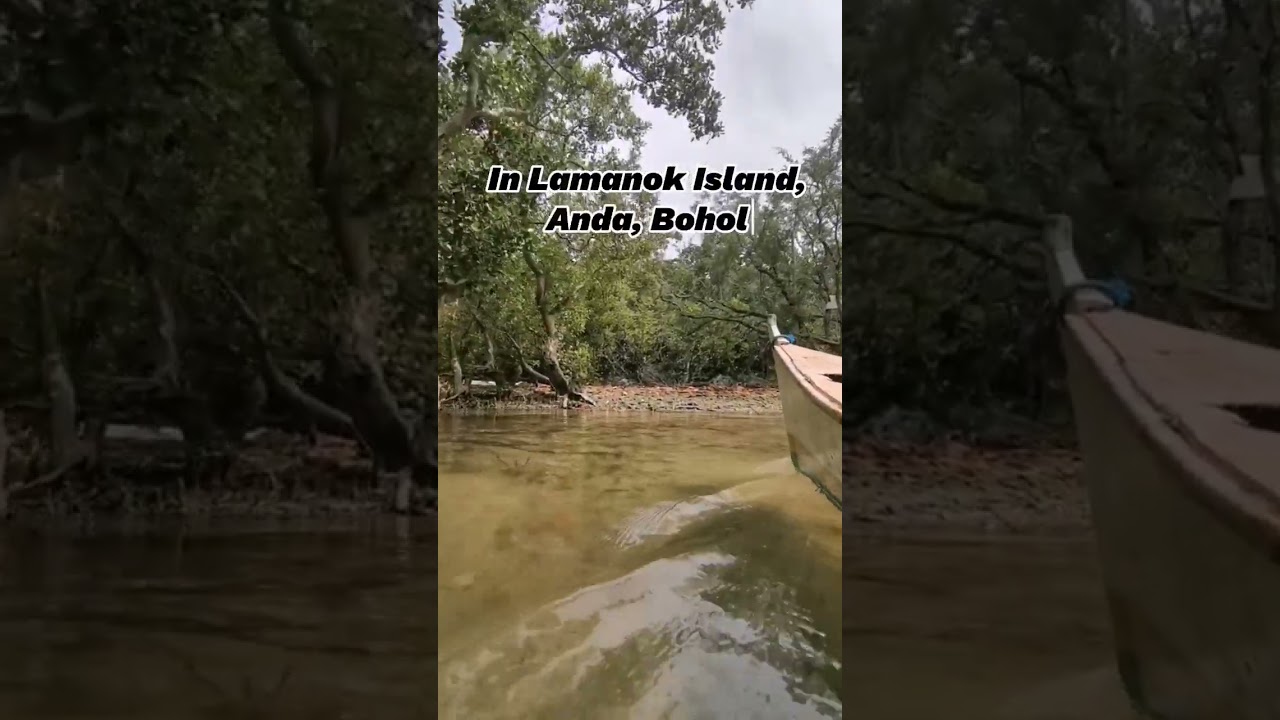 YouTube Short thumbnail