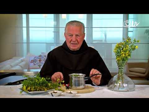 Zlatni savjeti – Gospina trava