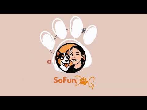 Frenetiks : Votre coach pour vous… et pour lui 🐶🧘‍♀️, et pour toute la famille