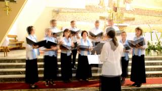 preview picture of video 'hAngelika Kamarakórus koncert - 2014.08.01.'