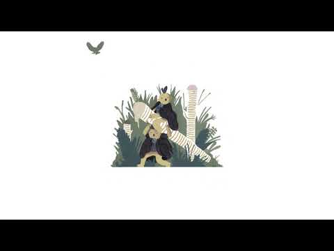 LMO x kuiters - kapuriko